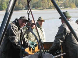 IMG 7582